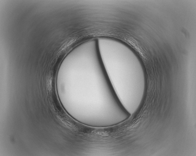 X0000116120491200911230934