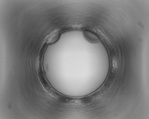 X0000116120492200911230934