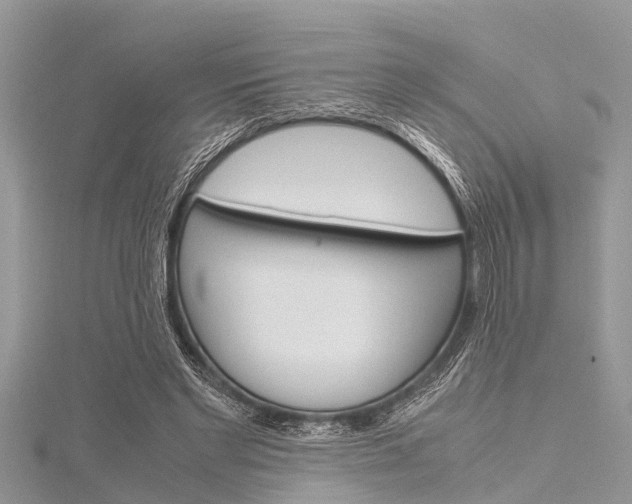 X0000116120493200911230934