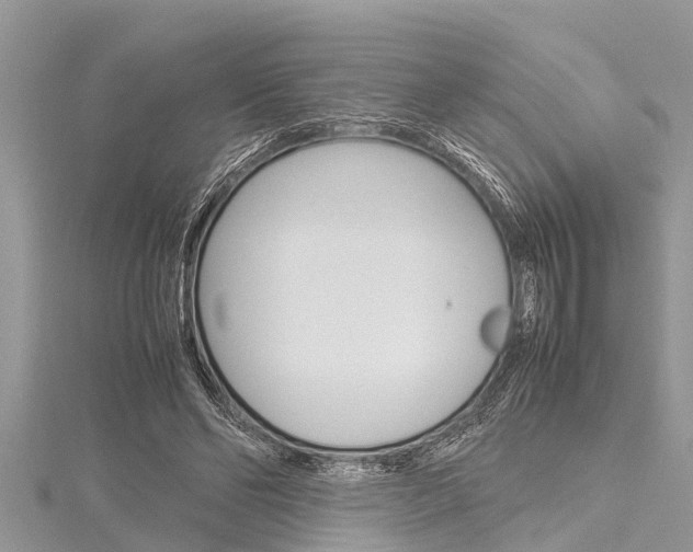 X0000116120494200911230934