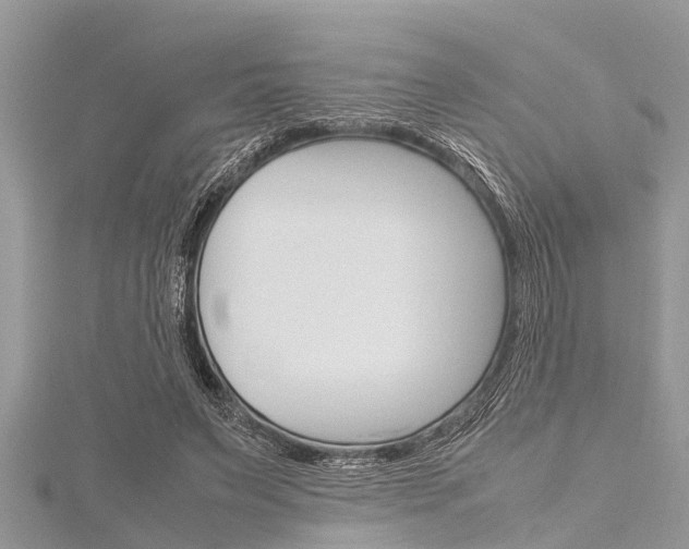 X0000116120495200911230934