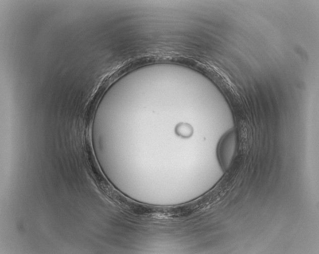 X0000116120496200911230934