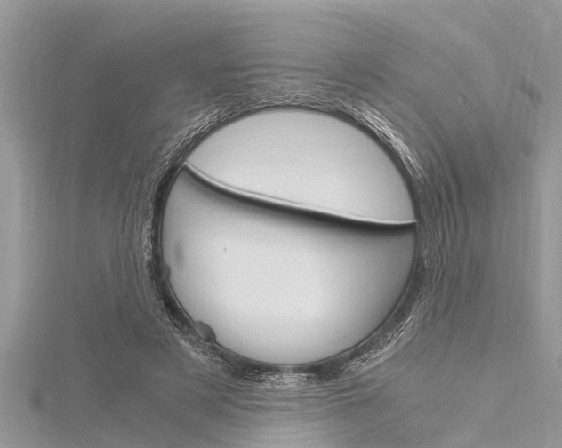 X0000116120497200911230934