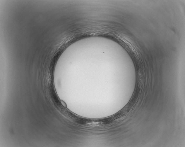 X0000116120499200911230934