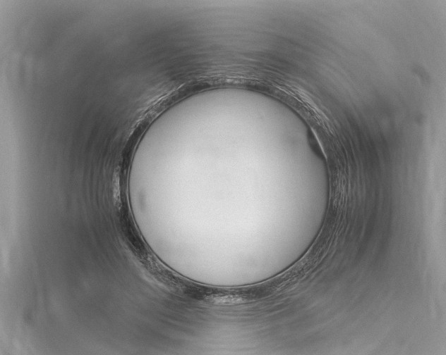 X0000116120500200911230933