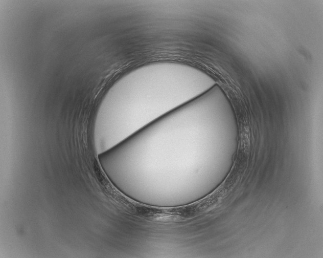 X0000116120504200911230933