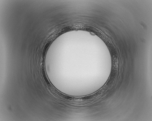 X0000116120507200911230933