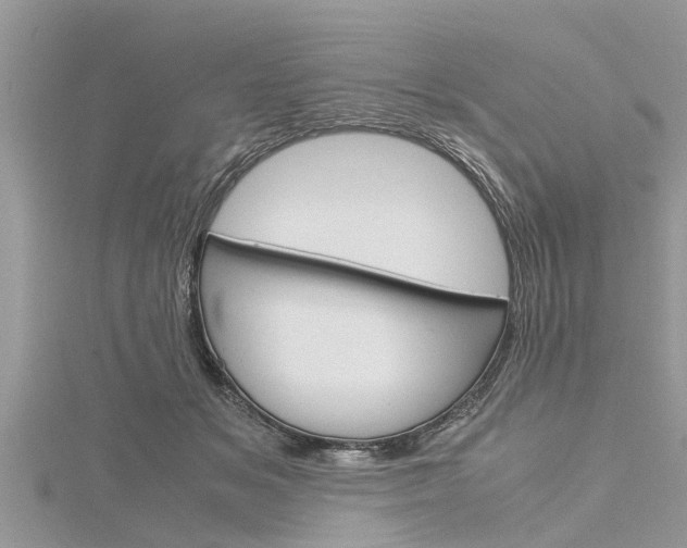 X0000116120509200911230933