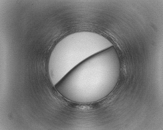 X0000116120512200911230933