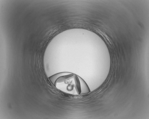 X0000116120517200911230933