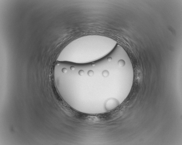 X0000116120519200911230933