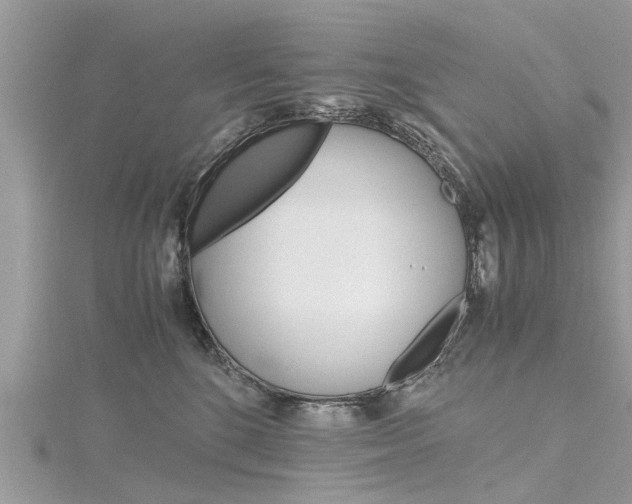 X0000116120520200911230933