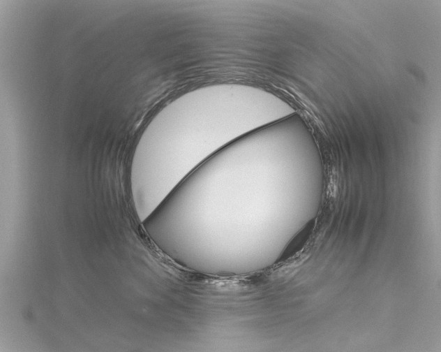 X0000116120524200911230933