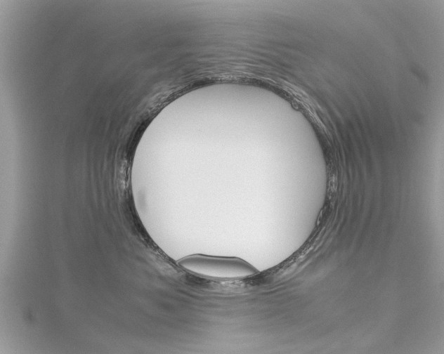 X0000116120525200911230933