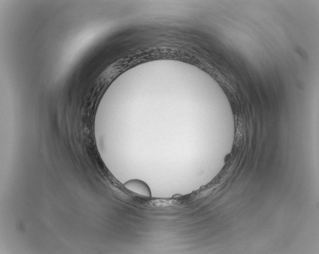 X0000116120526200911230933