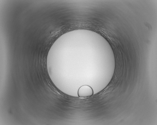 X0000116120528200911230933