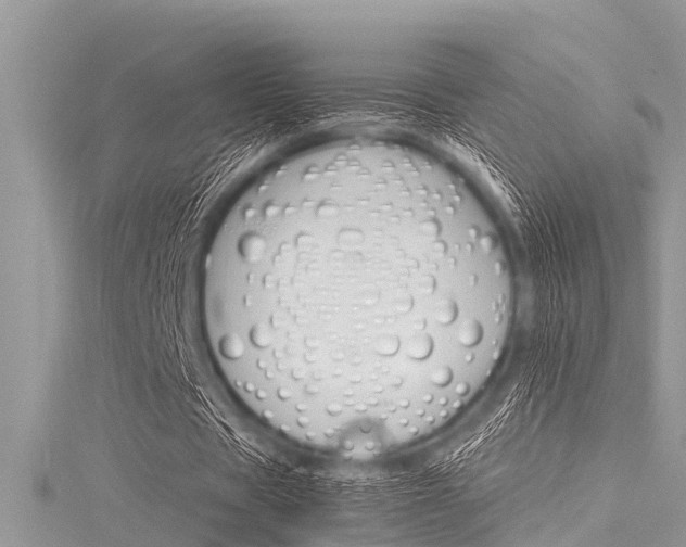 X0000116120529200911230933