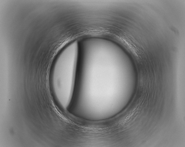 X0000116120530200911230933