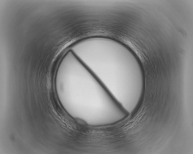 X0000116120531200911230933