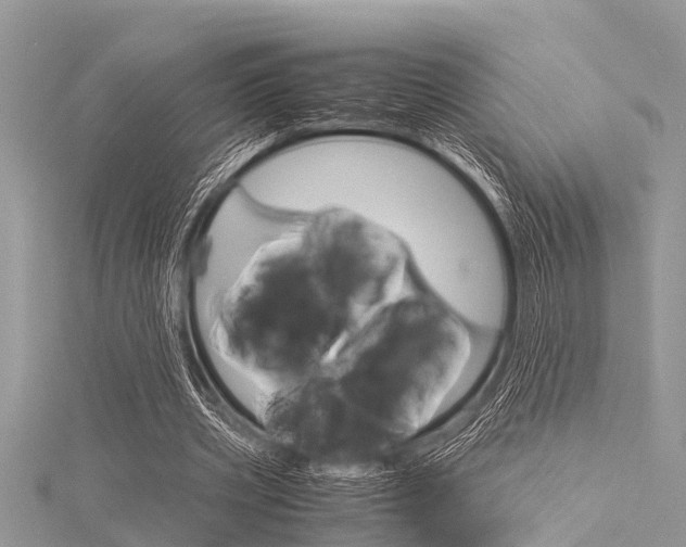 X0000116120533200911230933