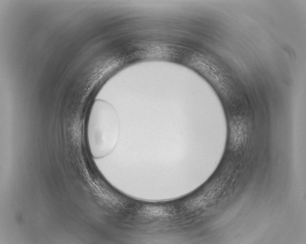 X0000116120534200911230933