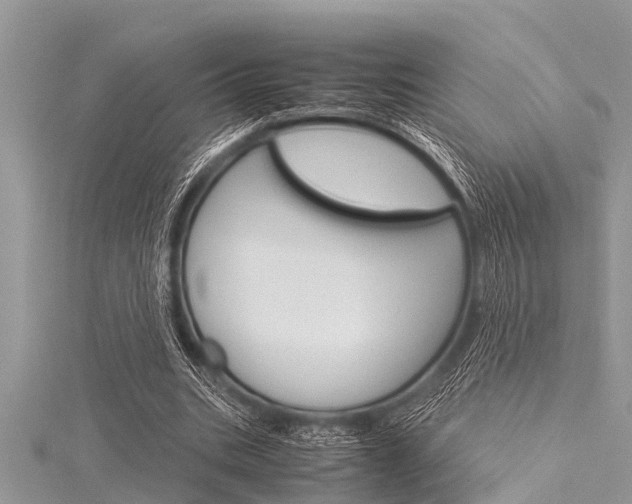 X0000116120535200911230933