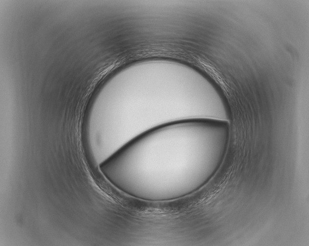 X0000116120538200911230933