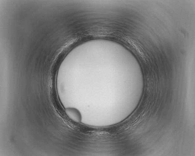 X0000116120539200911230933