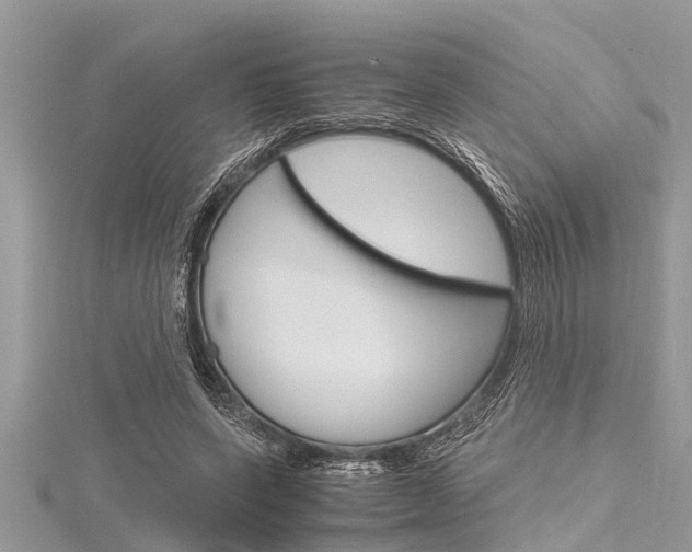 X0000116120543200911230933