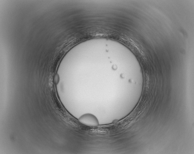 X0000116120545200911230933