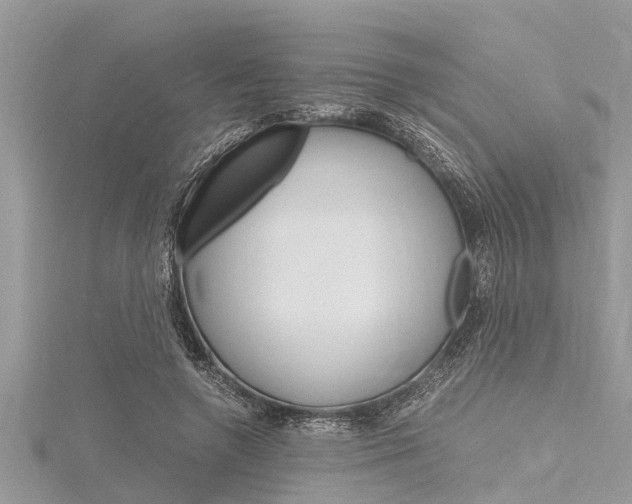 X0000116120546200911230933