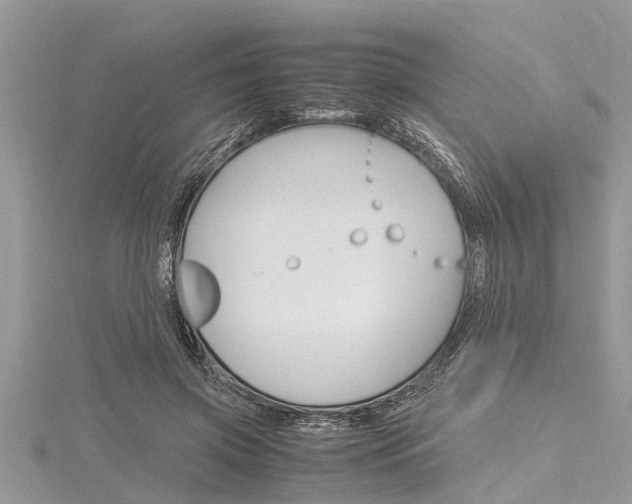 X0000116120549200911230933