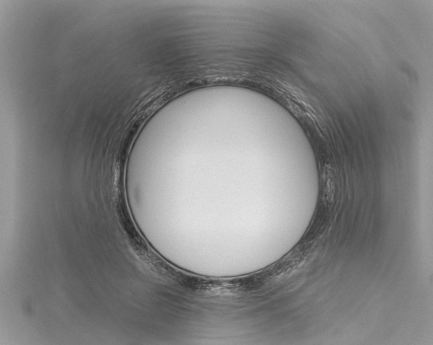 X0000116120550200911230933