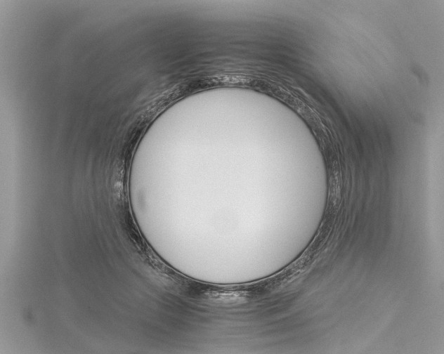 X0000116120553200911230933