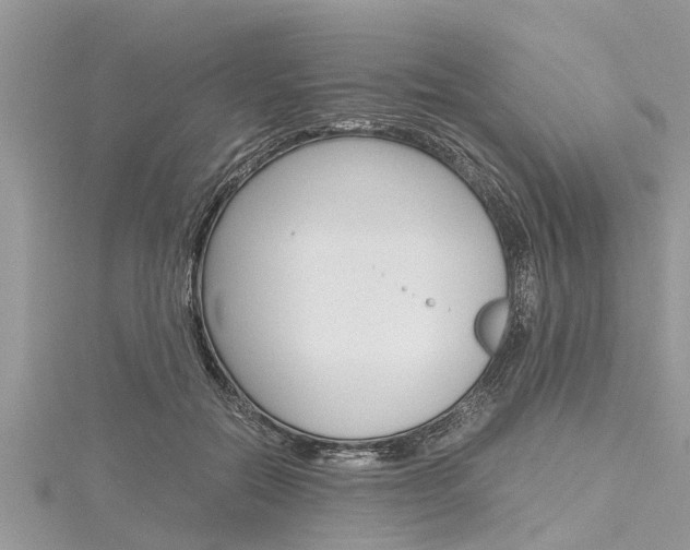 X0000116120554200911230933