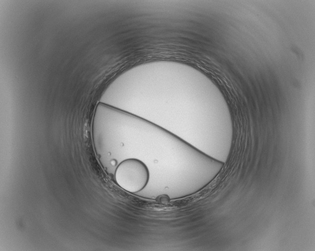 X0000116120555200911230933