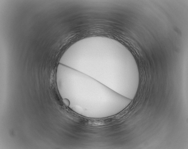 X0000116120559200911230933