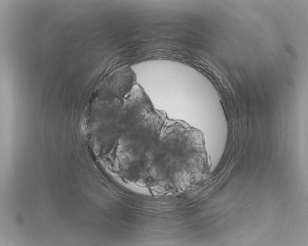 X0000116120561200911230933