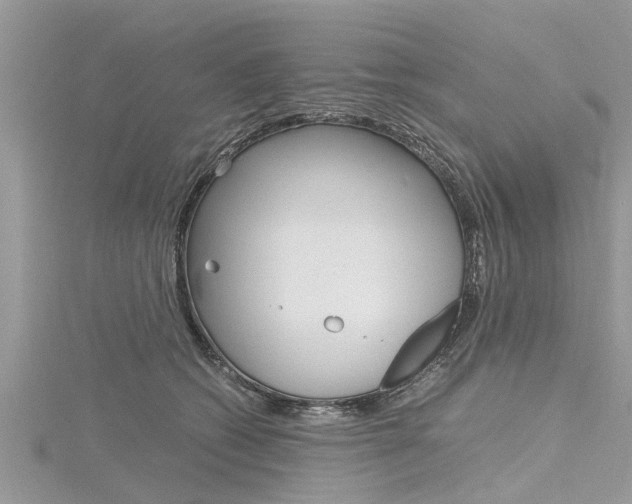 X0000116120562200911230933