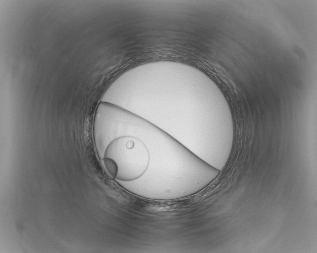 X0000116120563200911230933