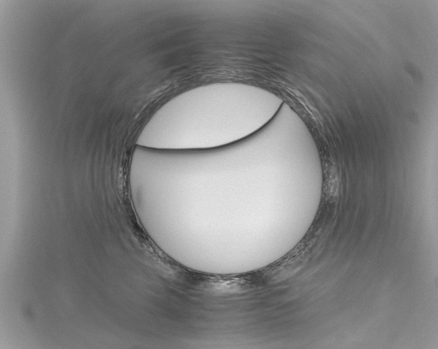 X0000116120569200911230933