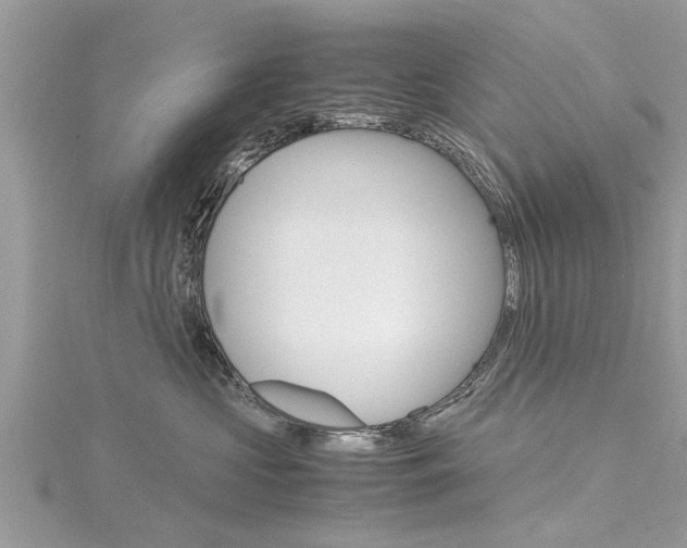 X0000116120573200911230933