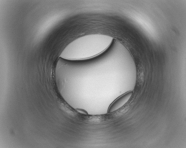X0000116120574200911230933