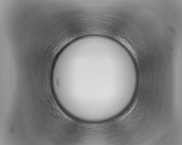 X0000116120577200911230933