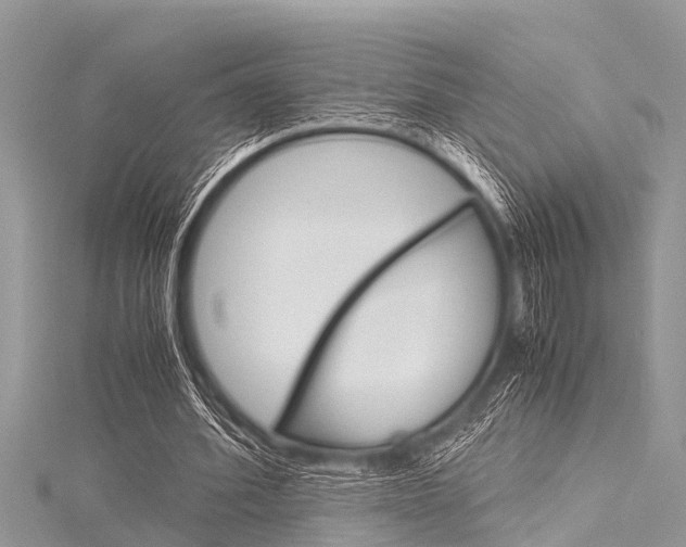 X0000116120580200911230932