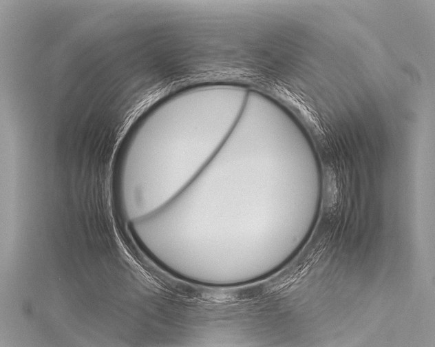X0000116120582200911230932