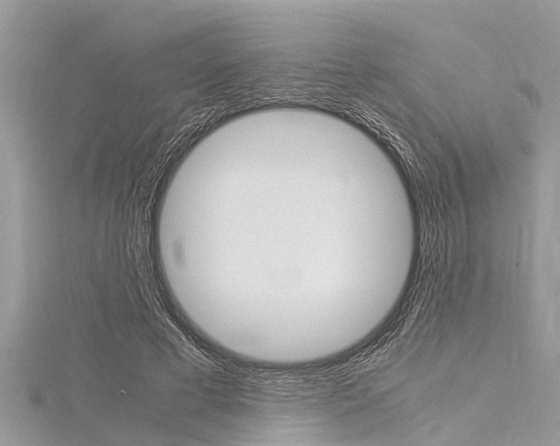 X0000116120593200911230932