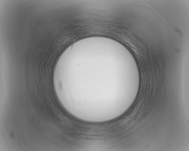 X0000116120597200911230932