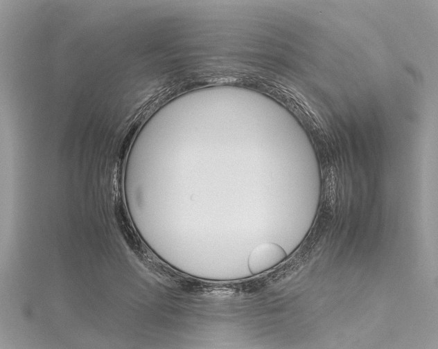 X0000116120598200911230932