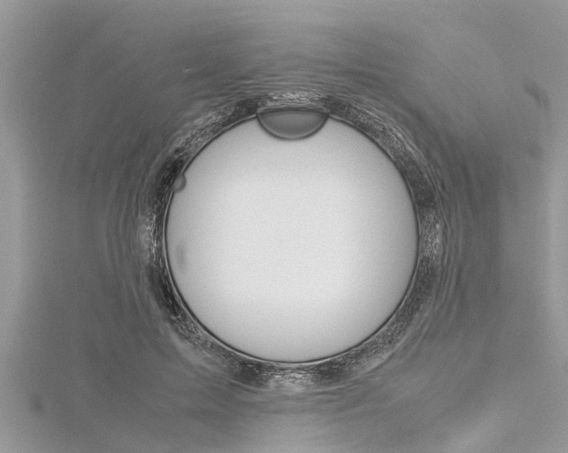 X0000116120599200911230932